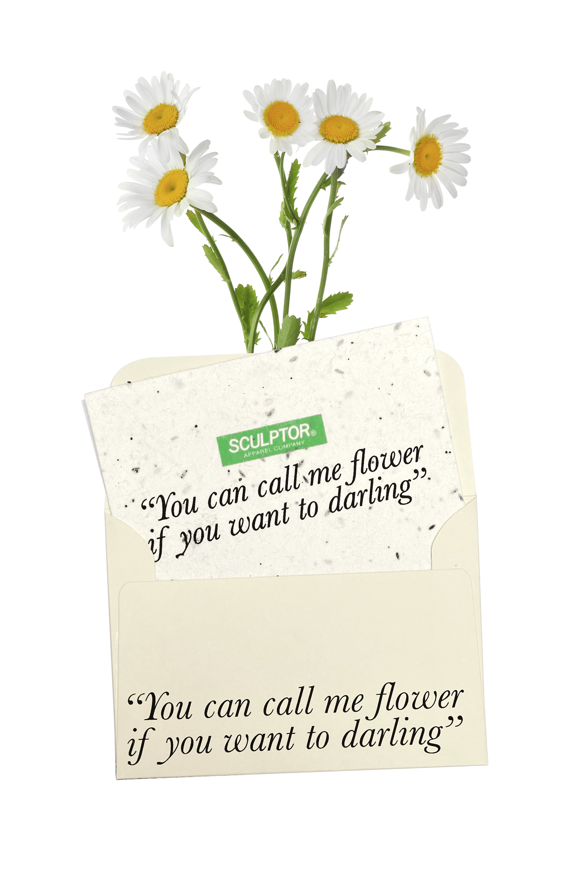 Wonder Grow Card daisy
